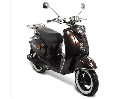 Erstazteile AGM New Flash Braun