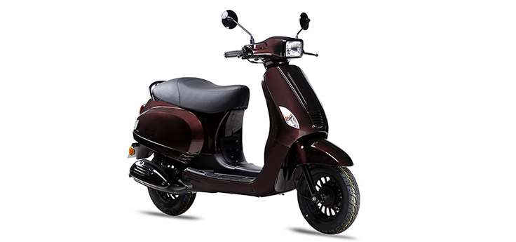 Erstazteile BTC Riva Sport Euro2 Braun