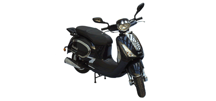 Berini Classic (12 Zoll)