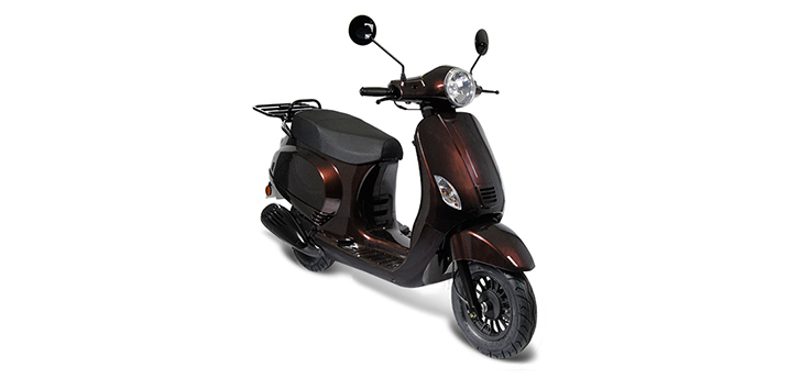 Erstazteile Edwards Maple V50-2 Braun