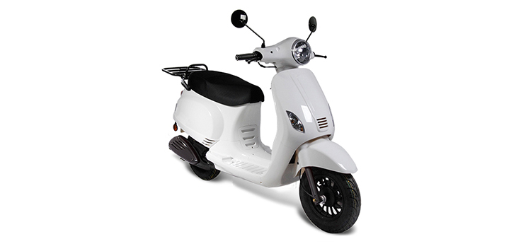 Erstazteile Edwards Maple V50-2 Weiß