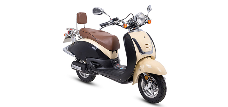 Erstazteile Edwards Tomorrow Grande Retro Schwarz/ Creme Euro2