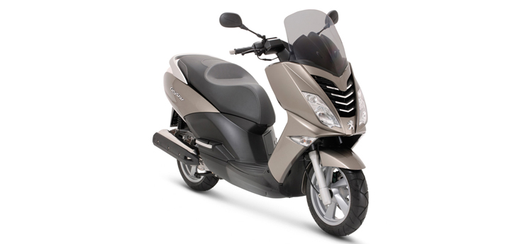 Erstazteile Peugeot Citystar 50 Lichen Grau