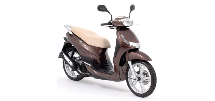 Erstazteile Peugeot Tweet old Braun