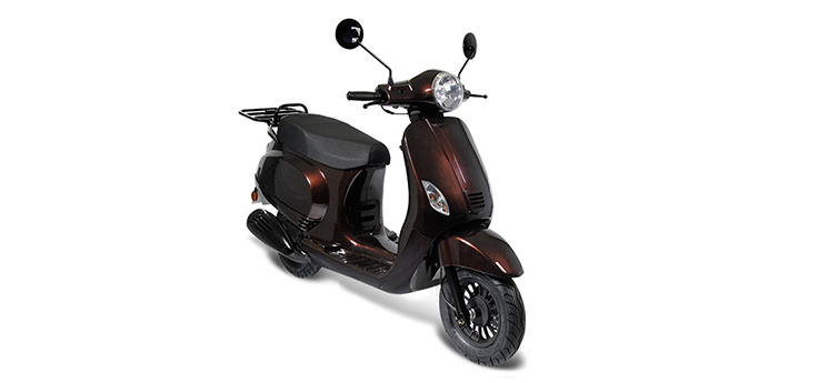 Erstazteile Rover GT Euro2 Braun