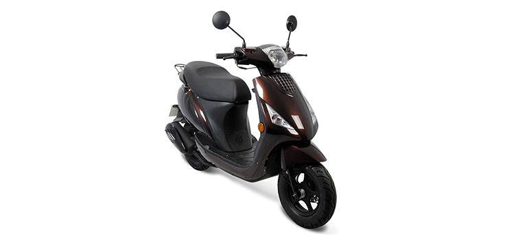 Erstazteile IVA YGO Braun