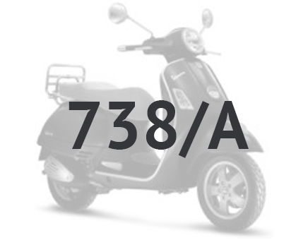Vespa GTS 250 ie 2005-2009 (mit ABS) Grau excalibur 738/A