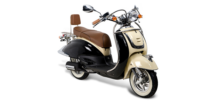 Erstazteile Znen Aurora IV Schwarz Beige