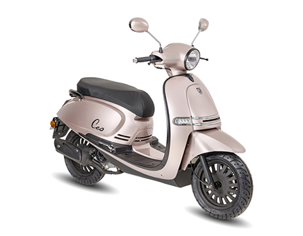 BTC Cruise Schwarz Edition Champagne