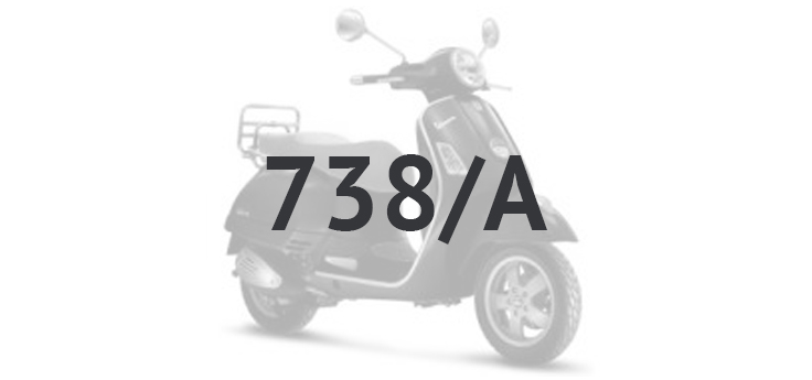 Vespa GTS 250 ie 2005-2009 (mit ABS) Grau excalibur 738/A