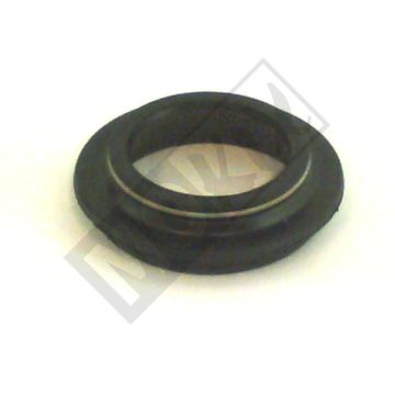 Staubring Beta Quadra