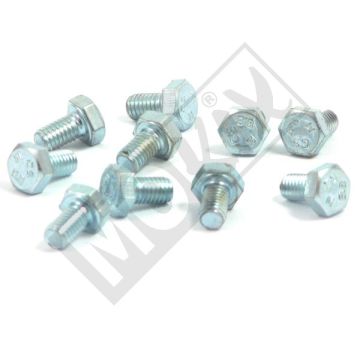 Bolzen M6x10mm 8,8 10 Stück