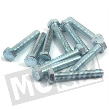 Bolzen M8x50 ELVZ 8,8 10 Stück