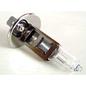 Birne P14.5s H1 12V 55W-121948