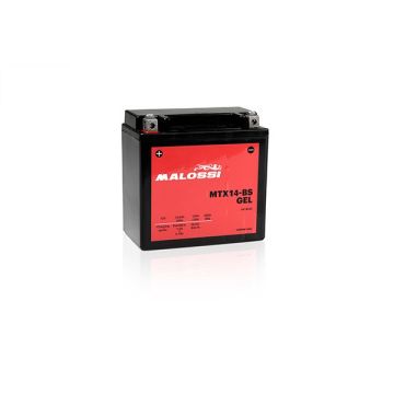 Batterie MTX14-bs Gel Malossi 4418923