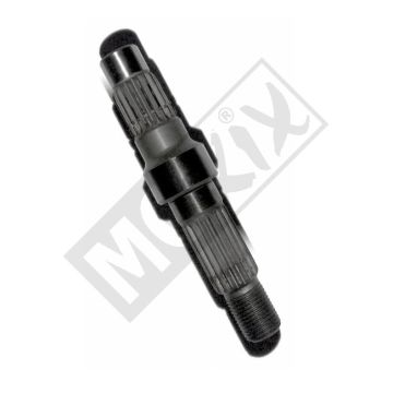 AUSGEHENDER ASH KY FILLY ORG