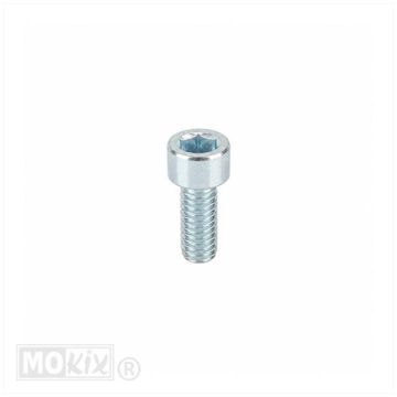 BOLZEN M6x12 AM6 25 Stück