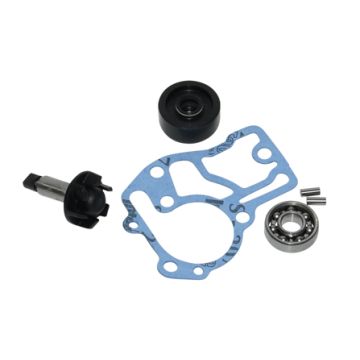 überholung set wasserpumpe neo 4t buzzetti 0416