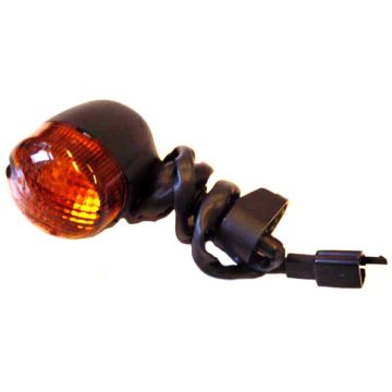 Blinker Yamaha Aerox (ab 2002) hinten rechts original 5heh334000000