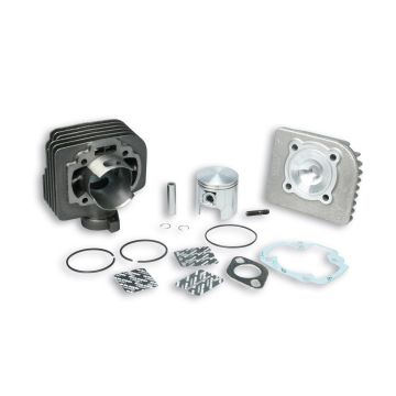 Zylinder Malossi 70 ccm Sport- Morini AC Ktana/Forza/SF/Street Magic/TGB/Vamos 318723