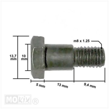 Seitenständerbolzen M10x1,25x40mm Modell China Jet Ten/Lintex Jet Ten/HT50QT-39 MKX/BTC Jet/Turbho CX