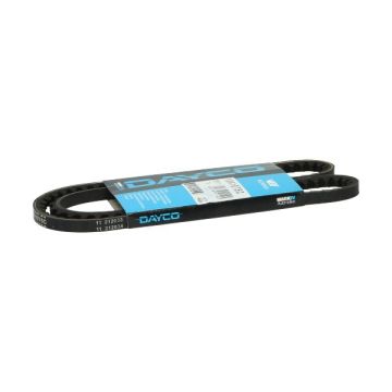 gürtel citta 1075mm dayco/pirelli