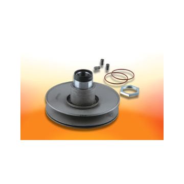 Riemenscheibe son/zip 2000sp malossi 6112110