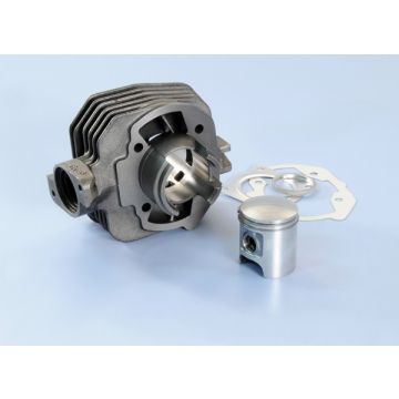 Zylinder mit Zylinderkopf -Polini- 50 Sport - Peugeot liegend AC 2-Takt 142.0159