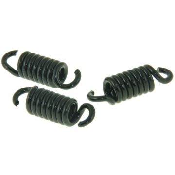 Kupplungsspannfedersatz 3-teilig Malossi Delta-Piaggio 125-180 ccm 2-Takt - Runner FX/FXR 125-180/Dragster 125-180/SKR125/SKR150/Typhoon125/Skipper 125-150/Hexagon LX/LXT 125-180 2912049