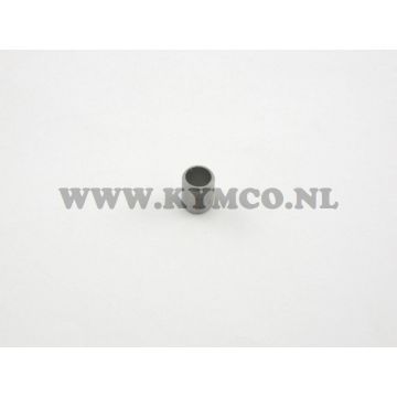 Passbus 8x10 Stutfohlen