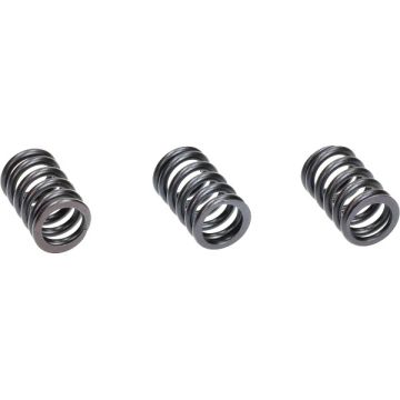 Ventilfedersatz Piaggio 50cc 4-Takt Iget 3V Euro 5 2021→ Zip/Primavera/Sprint/Liberty Polini 228.0133 3 Stück