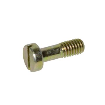 Bolzen Chokedeckel phva Yamaha/Aprilia/Roller 17,5mm dellorto 12110,36