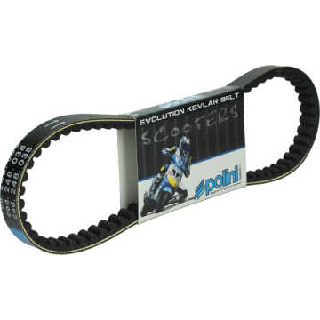 Gürtel Polini Speedake/Vivacity Kevlar 248.038