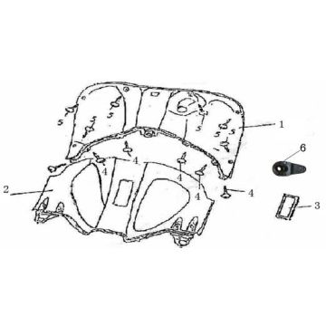 Beinschild China GT Champagner