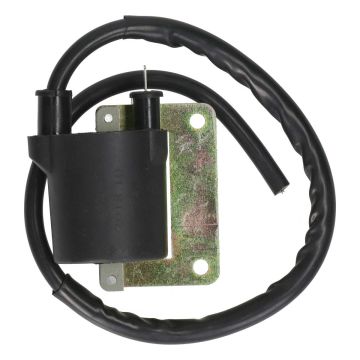 Zündspule Piaggio/Vespa Ciao alter Modell/Puch Maxi neuer Modell