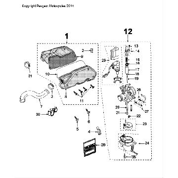 Vergaser Peugeot Speedfight 4 LC schwarz grün