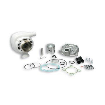 Zylinder mit Zylinderkopf Malossi 70cc 47mm MHR Replica Peugeot 50 LC 2-Takt vertikal - Speedfight 1 50 LC/Speedfight 2 50 LC/X-fight 50 319477