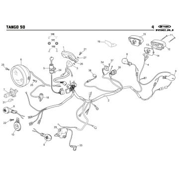 Elektroteile Rieju Tango grün 2009 2-Takt