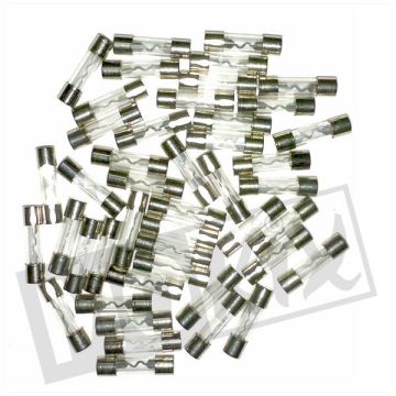 SICHERUNGEN ROHR 10 Ampere 25 mm p/100