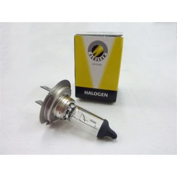 Birne Px26d H7 12V 55W-16H1255