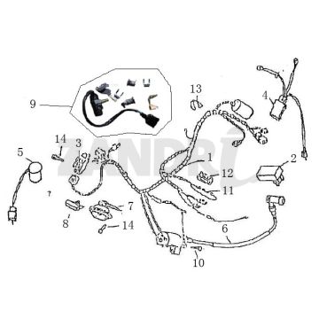 Kabelbaum Zündung BTC Grande Retro GT1 Kaffeesahne