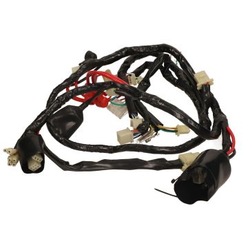 AGM R8/BTC R8 Euro 4 originaler Kabelbaum