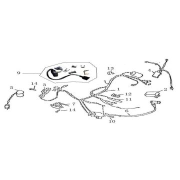 Kabelbaum China GT Champagner