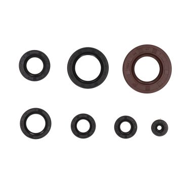 Wellendichtringssatz Suzuki TSX50 7-teilig komplett