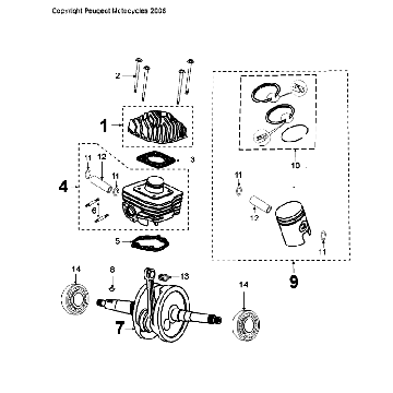 Kurbelwelle und Zylinder Peugeot Citystar 50 Brown