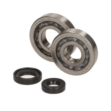 LAGERDICHTUNGSSATZ FÜR MOTORRADROLLE 2T TP