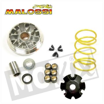 VARIATORSATZ HO SCOOPY/PEU SC TR