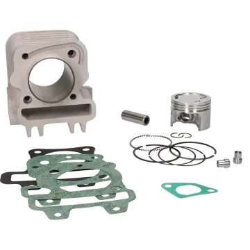 Zylinder Malossi 80cc 49mm Piaggio 50 4-Takt 2V-3V-4V 3117771 Zip/Sprint/Primavera/LX/LXV/S/ET4/Liberty/Fly/Centro/Ciak/Torpedo/Sportcity One/Scarabeo