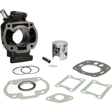 Zylinder Honda Mbx/Mtx80 LC 110ccm 53mm 313738 Malossi