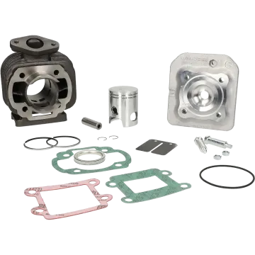 Zylinder mit Zylinderkopf -Malossi 50 Sport- Minarelli AC vertikal - Booster/Bump/BWS/Slider/SPY/SR50 <-1994/Stunt/Zuma/Amico 316901